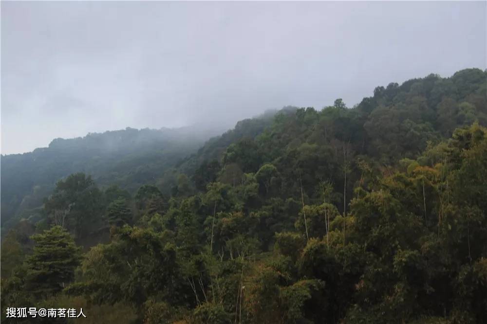 茶园|重走古六大茶山，每一座都充满了故事！