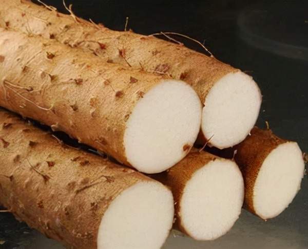 竹篙薯是泰和人过年必备的食品,可以炖汤,素炒,丝丝细滑,非常好吃而且