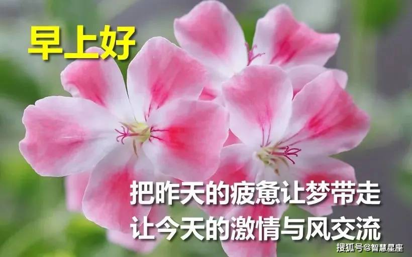 8月日周五早上好问候语及关心的话早晨好的图片暖心句子 朋友