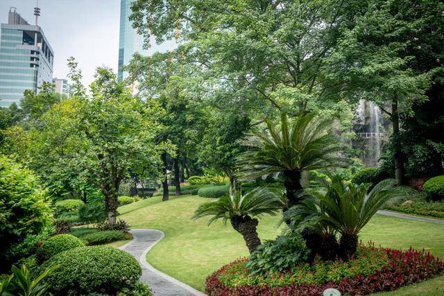 广州花园酒店果真住进了花园里