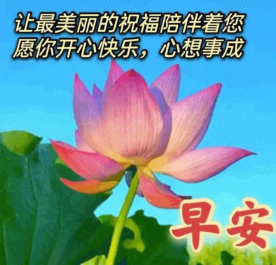 原创8张非常创意好看的早上好问候图片,唯美秋天早安问候祝福图片带字