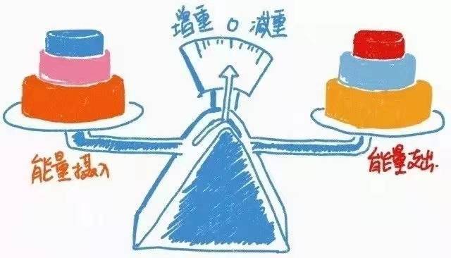 如何开始减肥行动 433312a359fd408cbcd456ccc8a31c5f.jpeg