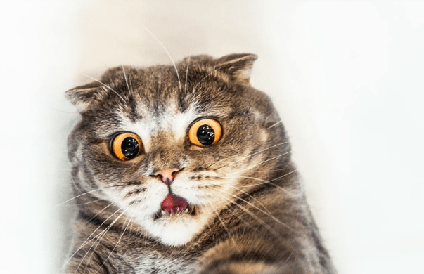 ab2d1320316c4f679e1eb91e872e3e43.png