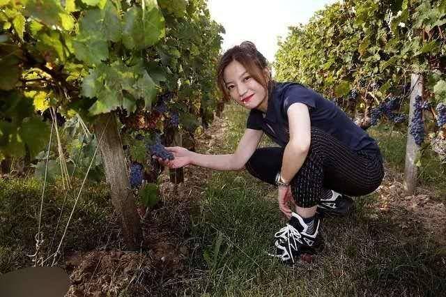 藏蓝色|赵薇真接地气，穿藏蓝色POLO衫摘葡萄，哪看得出有44岁了