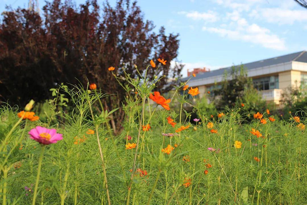 消毒液|精心维护园所环境，为幼儿返园保驾护航