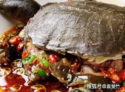 f94c29e98a7a4a0a9f0604ceb906cc42.jpeg