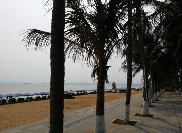 海南2021gdp_海南海口与广西玉林的2021年上半年GDP谁更高(3)