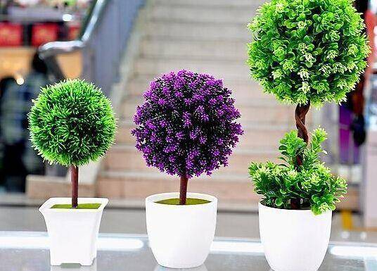 狗万manbet官网 买花不受歌词 晴格歌词网