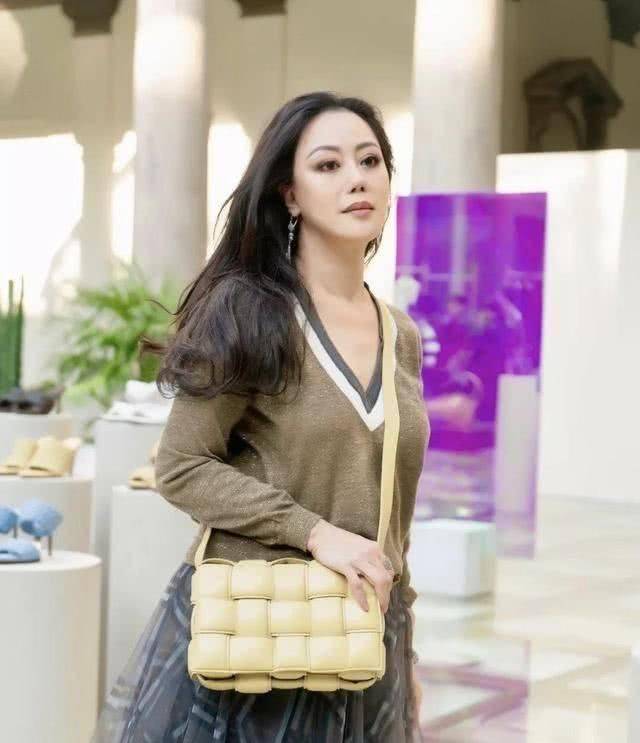 青春|章小蕙真是风情万种，V领薄纱长裙优雅温柔，高贵典雅好有女神范