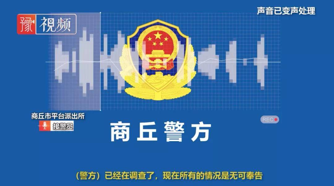 警方|全网在寻找的“洗衣机柯基”，目前有了重大进展！