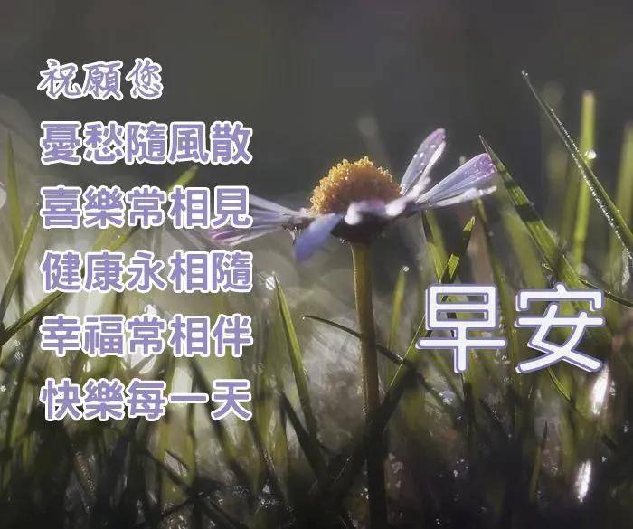 处暑节气早安问候祝福语图片带字温馨_朋友