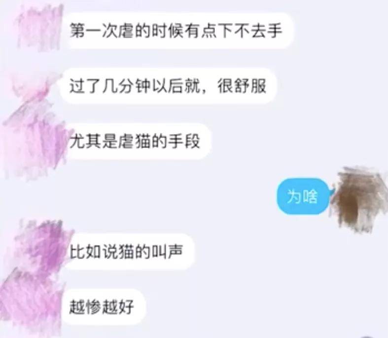 警方|全网在寻找的“洗衣机柯基”，目前有了重大进展！