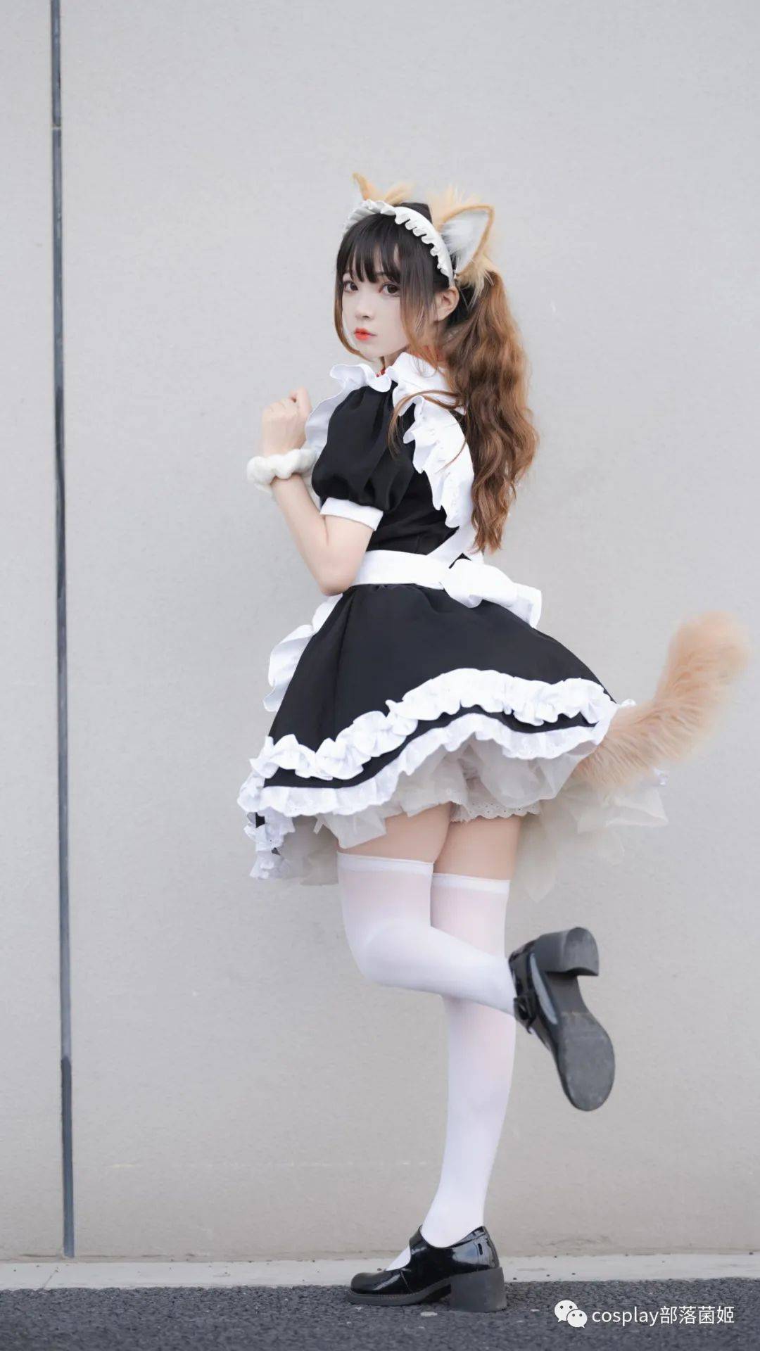 女仆猫猫:不能绑架如此可爱的猫咪