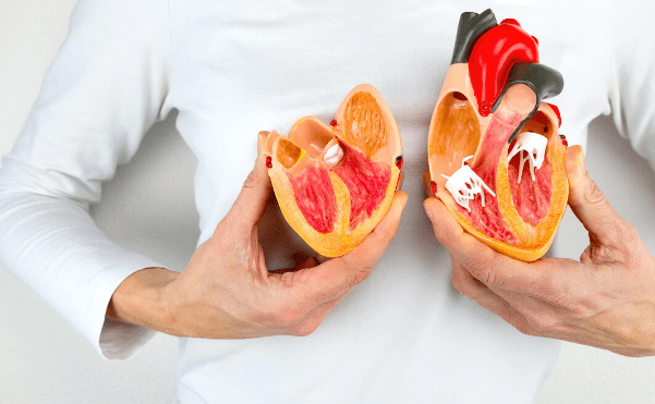 人体|早上是养肝的“好时机”!这4种食物“别吝啬”,每天没事就吃