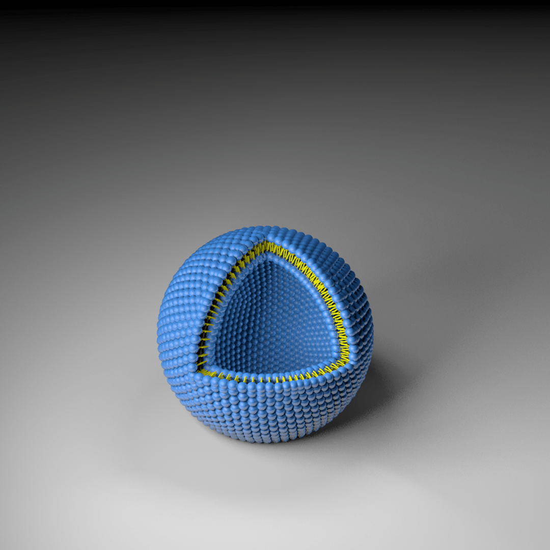 一篇搞定各种纳米粒子模型的绘制核壳结构介孔碳球多孔空心纳米球