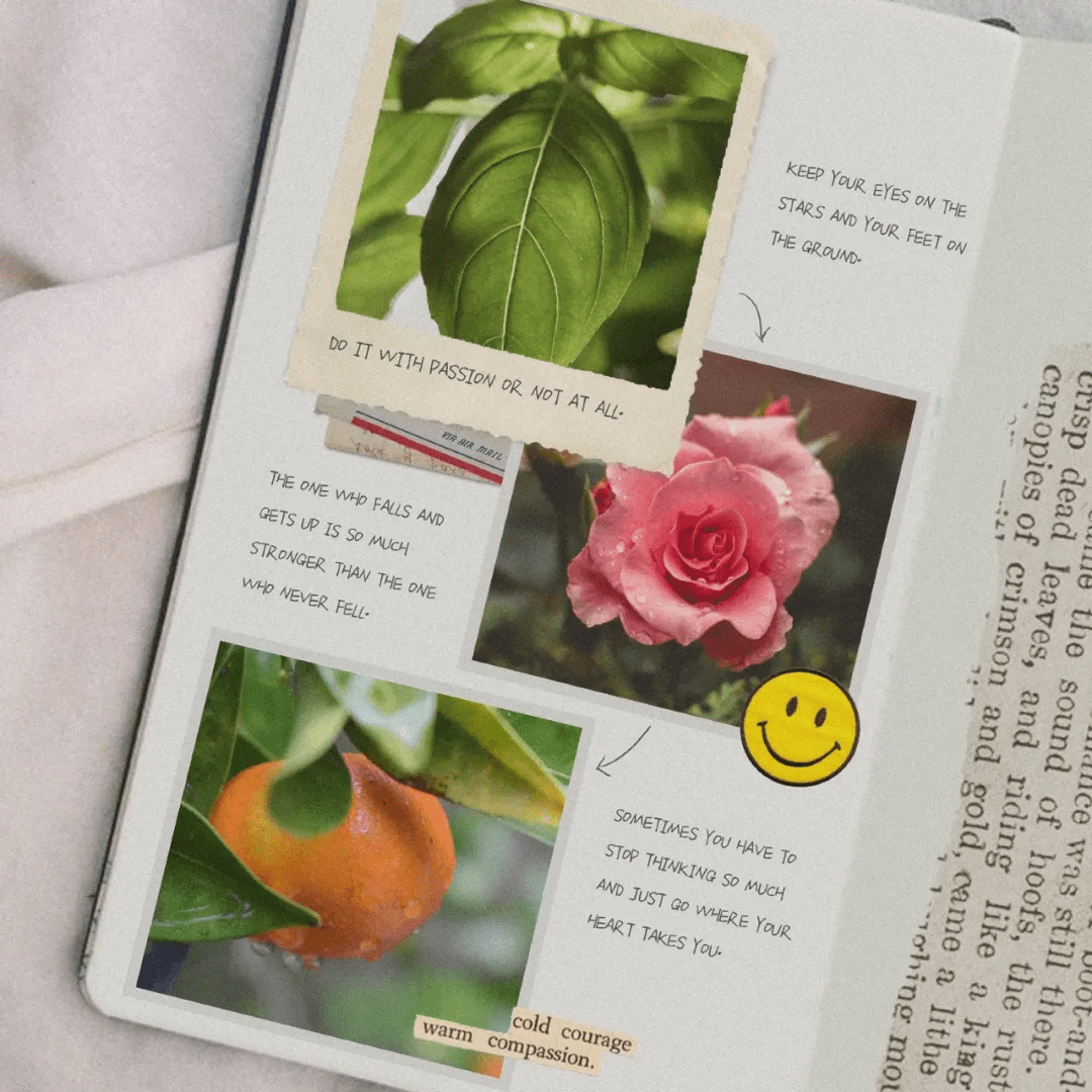 科学芳疗 芳疗师必备知识点 植物的科属分类 Sp