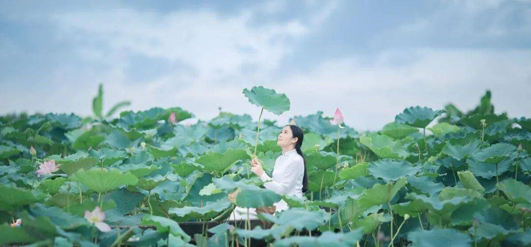 荷塘|模特在荷塘里拍人像,穿什么颜色的服装出镜好看?给你3个建议