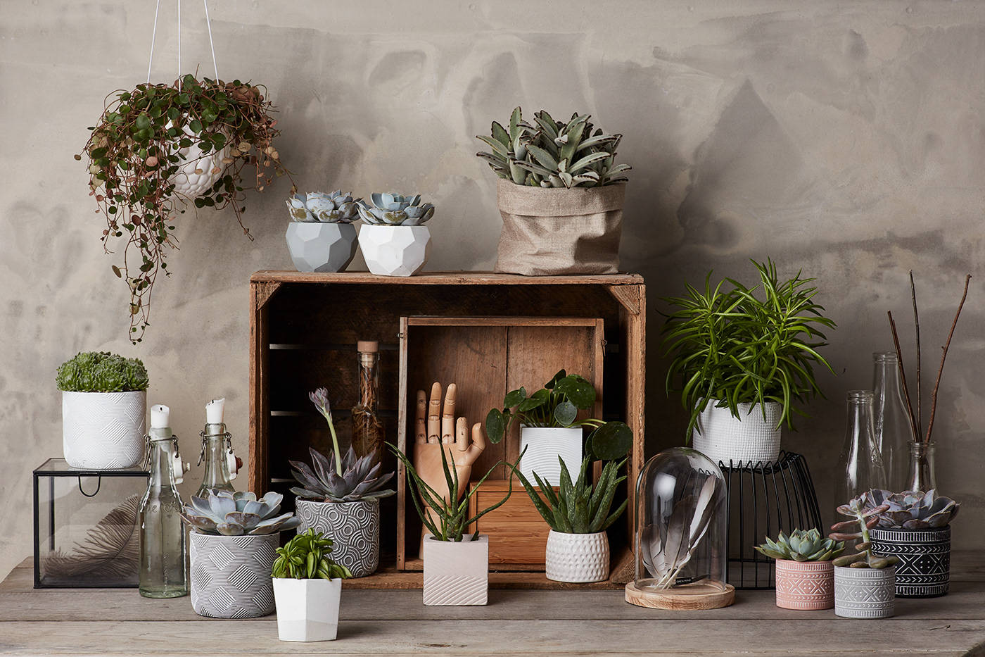 视觉|平面设计 | Dymak 家居和园艺配件品牌形象设计