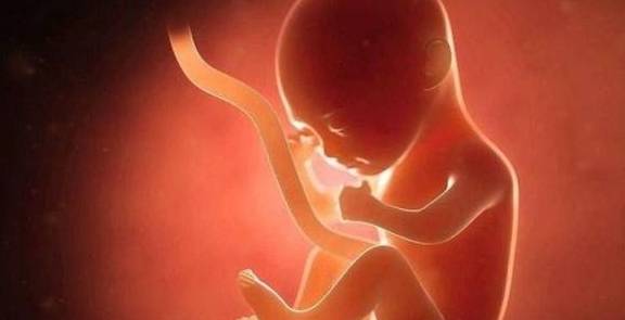 菲菲|孕妈吃饭，胎儿能尝出味道吗？医生：不仅能，还吃得很香