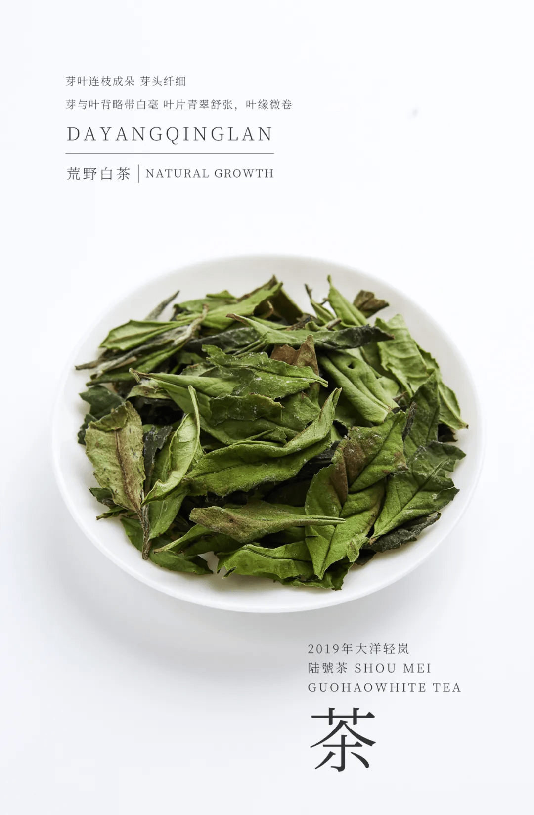 国号|中秋福利:大洋轻岚超值大礼盒