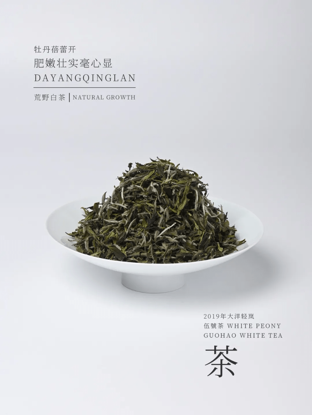 国号|中秋福利:大洋轻岚超值大礼盒