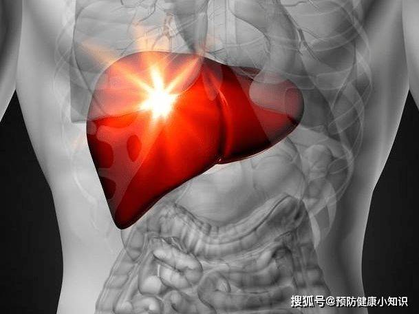 怎么做才有助于胰腺功能恢复 3f758069f407473396126912e15719be.jpeg