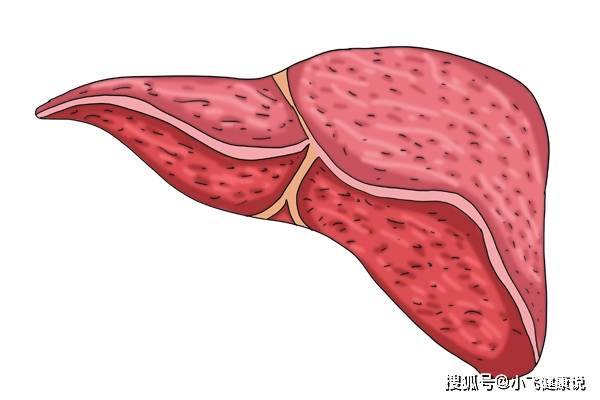 生活|乙肝患者长期吃恩替卡韦，如果不小心漏服了，病情会加重吗？
