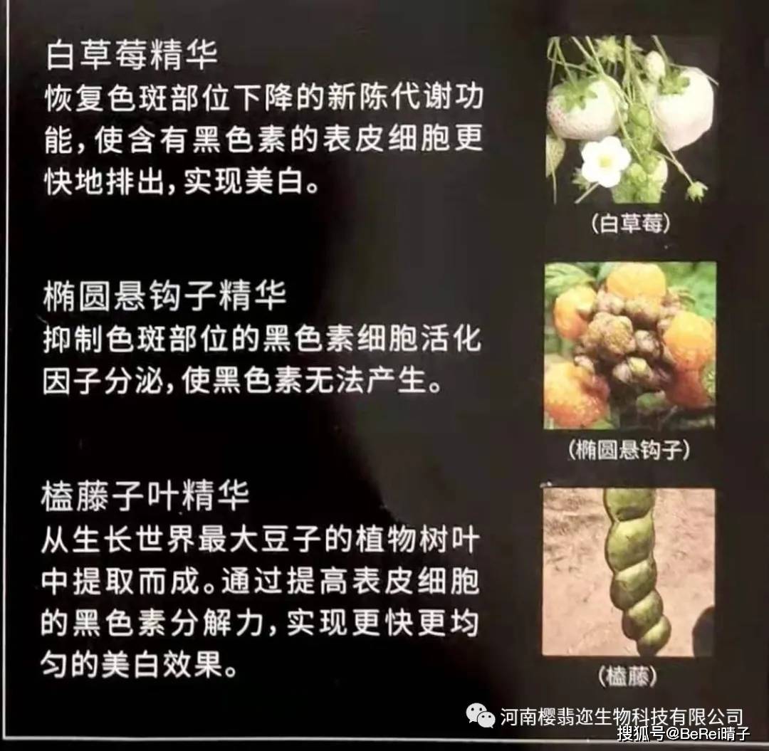 Naris|Naris Dearse WHITE断黑美白淡斑系列