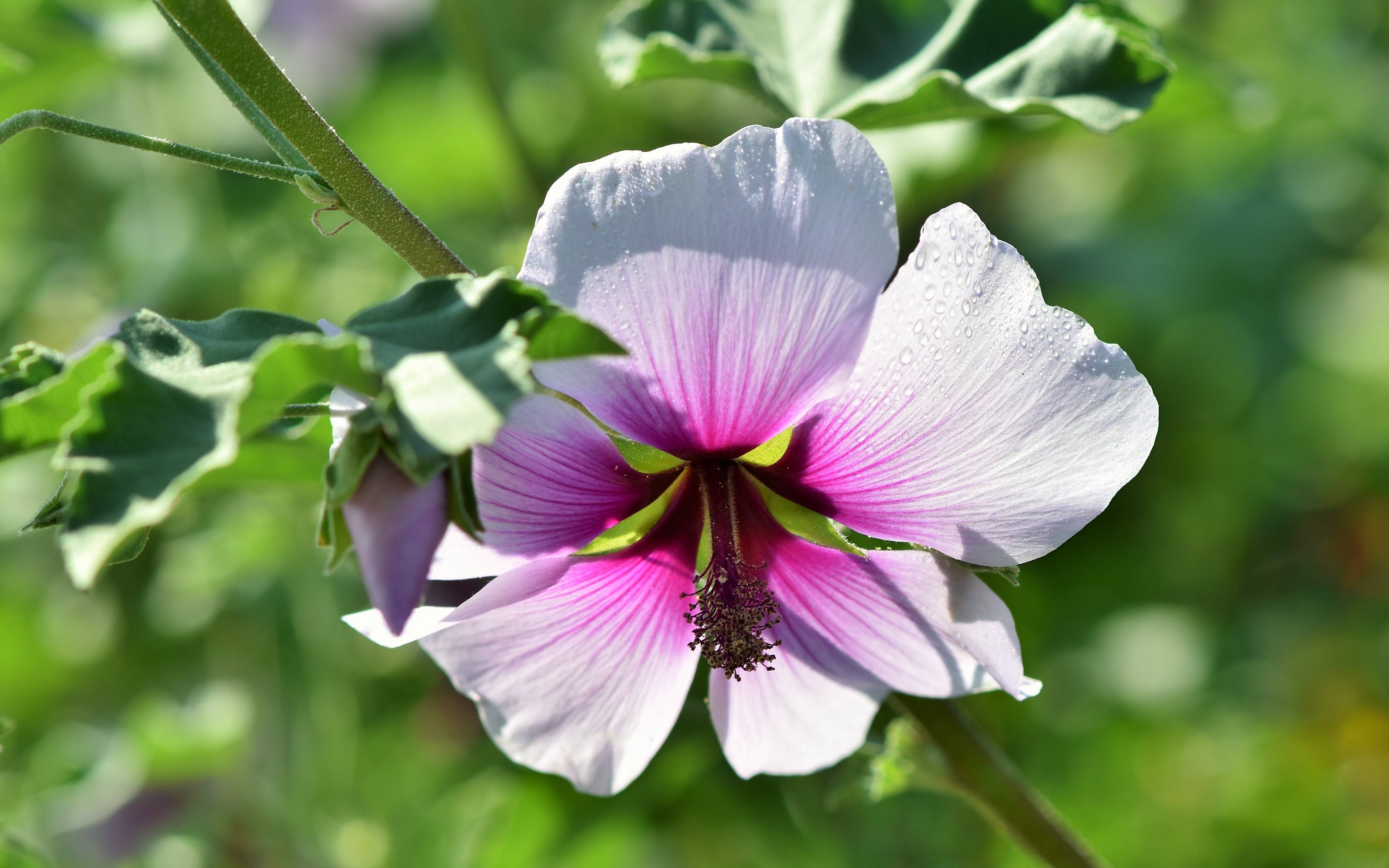8月28日星座运势 镇定自若 所向披靡的四大星座 生活