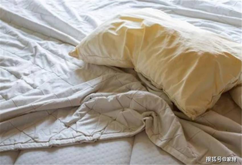 一般多久洗一次被子 ef5364c2508d470ab6ddc5500edcfe86.jpeg