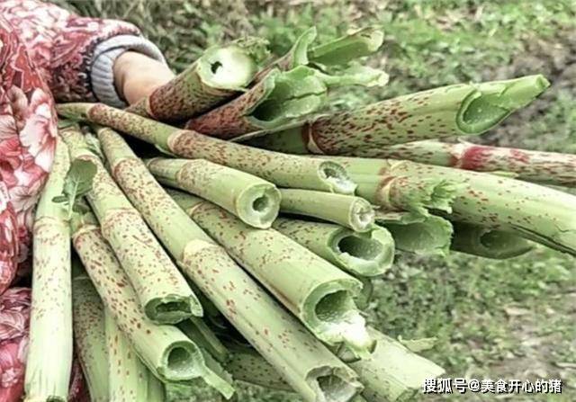 因为|它在国内的名气很大，国外却臭名昭著，80后把它当做零食来吃