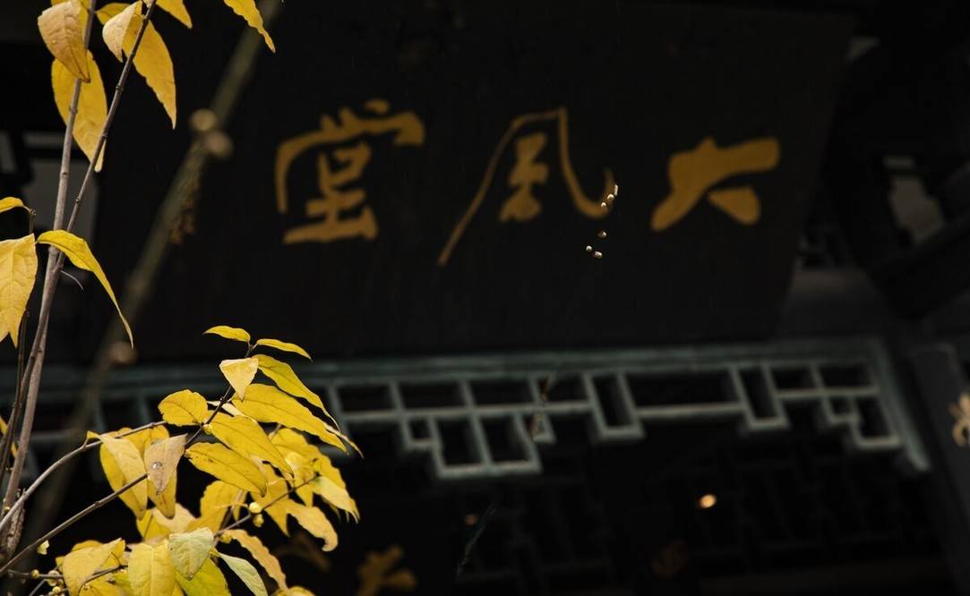 �Ŵ�ǧ��������������У����������Զ���ϡ����ϡ������ ...