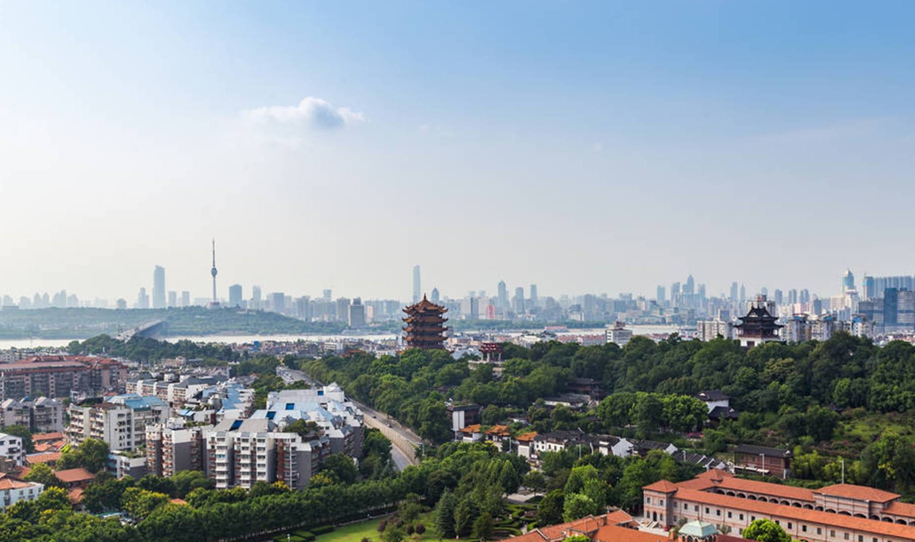 鸽子|武汉人过早引发的争议:其实武汉人很不重视早餐?