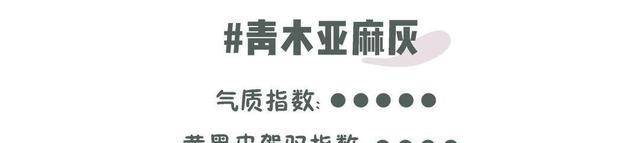 tony|秋冬最值得染的发色，显白又气质，自己在家就能搞定
