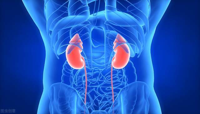 吃什么降尿蛋白最有效 40a5ac200c0046a4b6efc2d542493524.jpeg