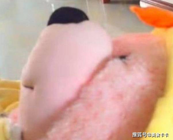 女士|女儿早起写作业,妈妈去叫吃早餐,摸了下孩子的头瞬间懵了