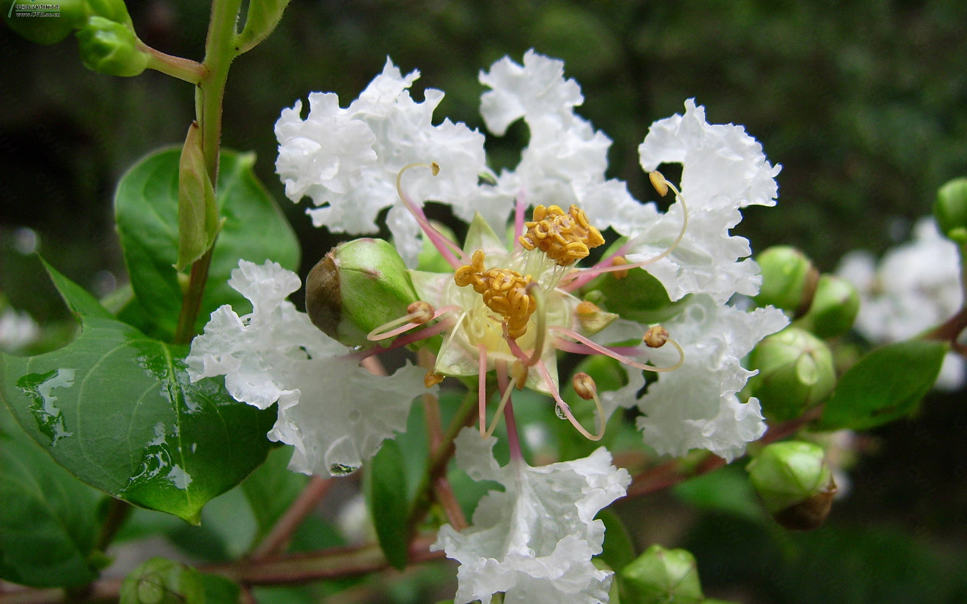 8月31日星座运势 巨蟹小心谨慎 天秤勇往直前 射手脚踏实地 工作