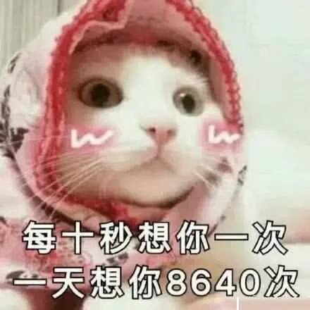 甚是开心表情包 880dec39e9e04e5c8204317e8a82fd50.jpeg