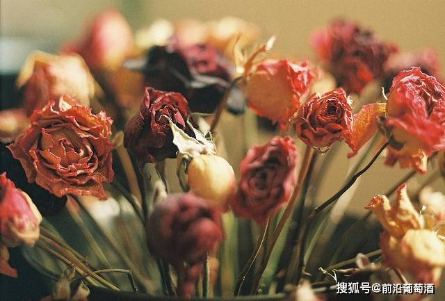 方法|葡萄酒花香的特点和品鉴方法,葡萄酒常见鲜花干花香分类图鉴详解