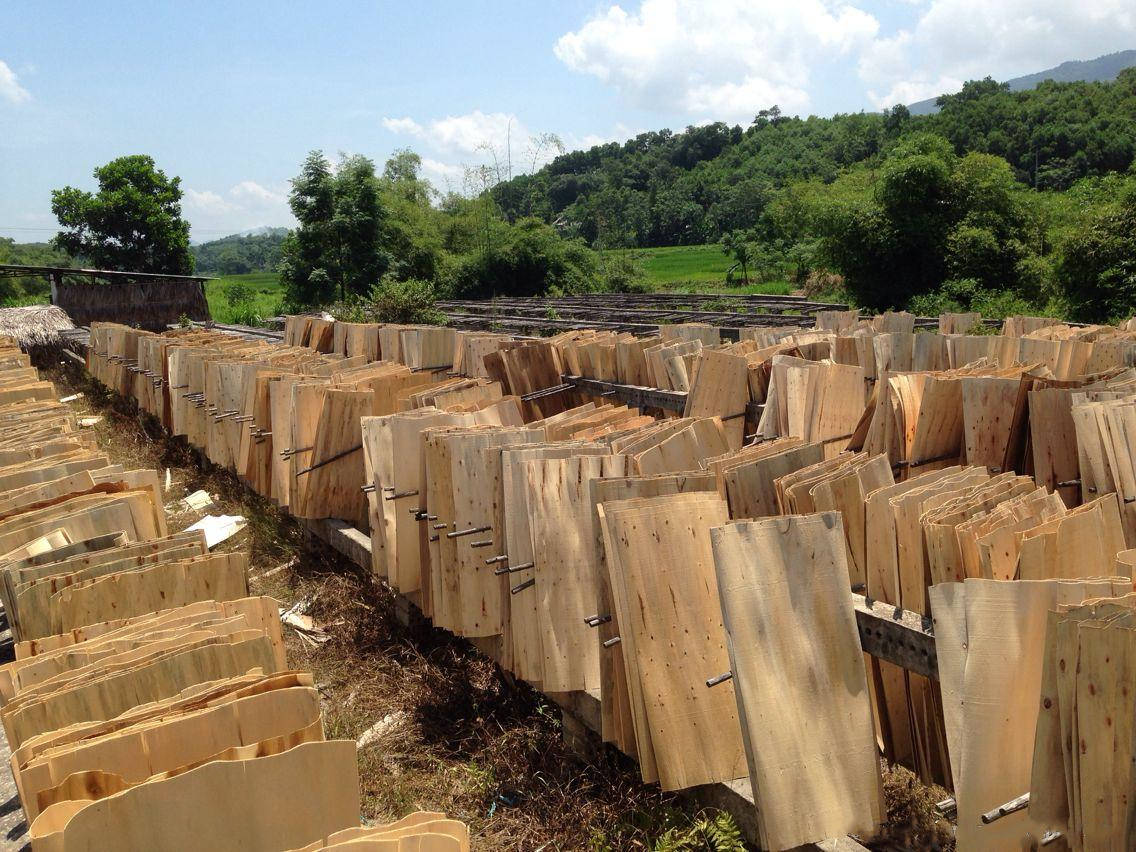 越南疫情爆发严重影响木材加工业