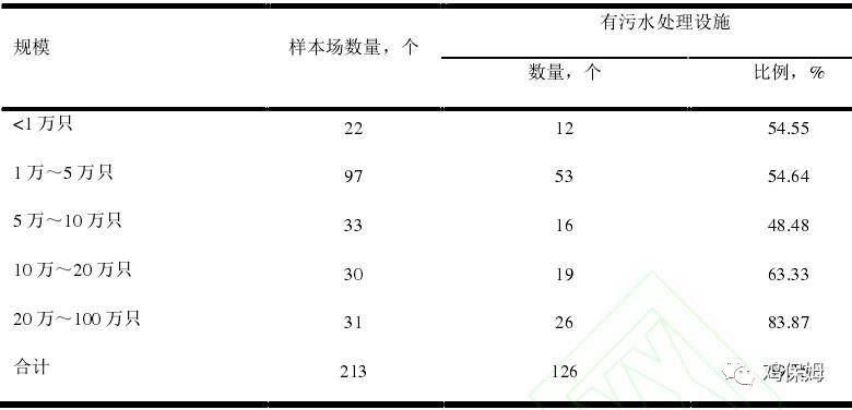 蛋和鸡简谱_小鸡简笔画(3)