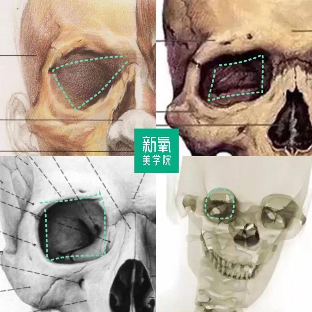 看了金晨的初眼,明白她有时绝美有时塑料的根源_眼眶