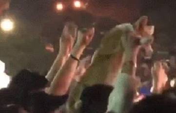 小益|主人带柯基去酒吧蹦迪，小柯基的表情亮了：我是谁我在哪