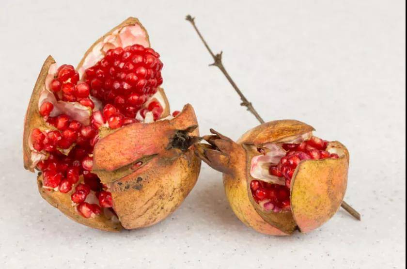 伊朗石榴被称为天国果实的故乡