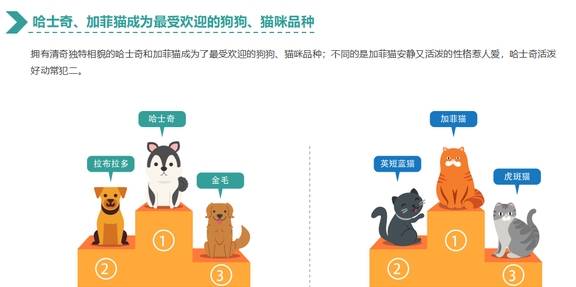 人群|猫奴VS狗奴 哈士奇&加菲猫 养宠消费新趋势了解一下!