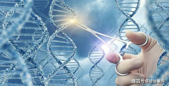 什么是优质基因 23d4c40a691b46d0b6d66b32e381123d.jpeg