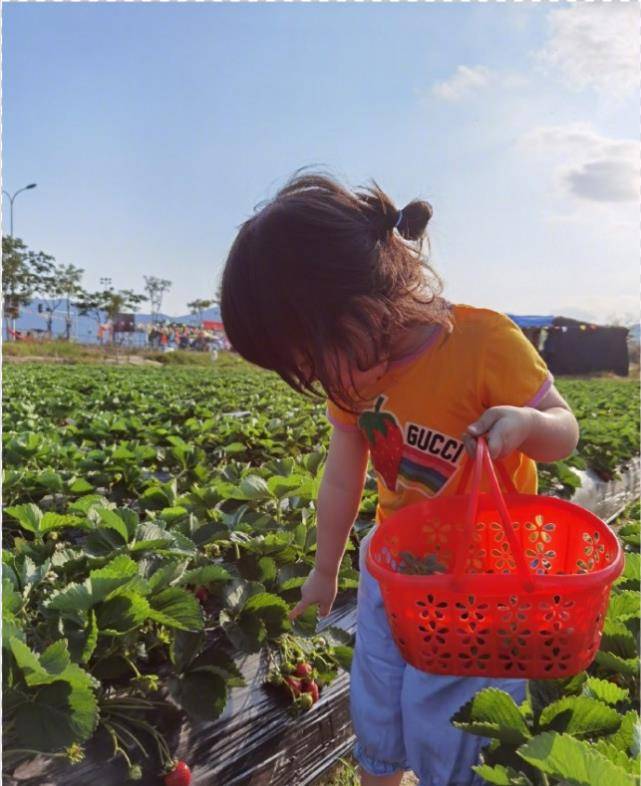 马尾|杜若溪携女儿春游,3岁肉肉多风格装扮漂亮养眼,近9斤婴儿长大了