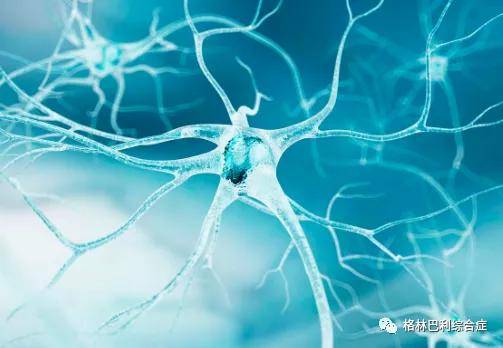 病毒|格林-巴利综合症常见病因