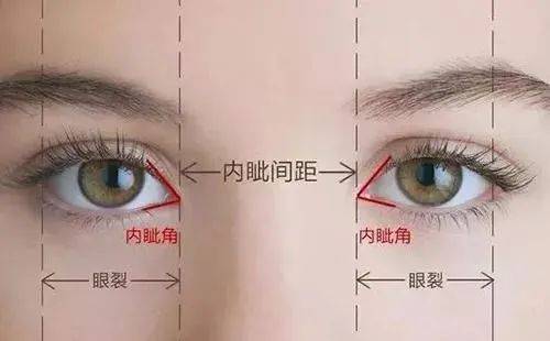 张力|五官C位可不能随便动,鼻综合也不是人人适合!