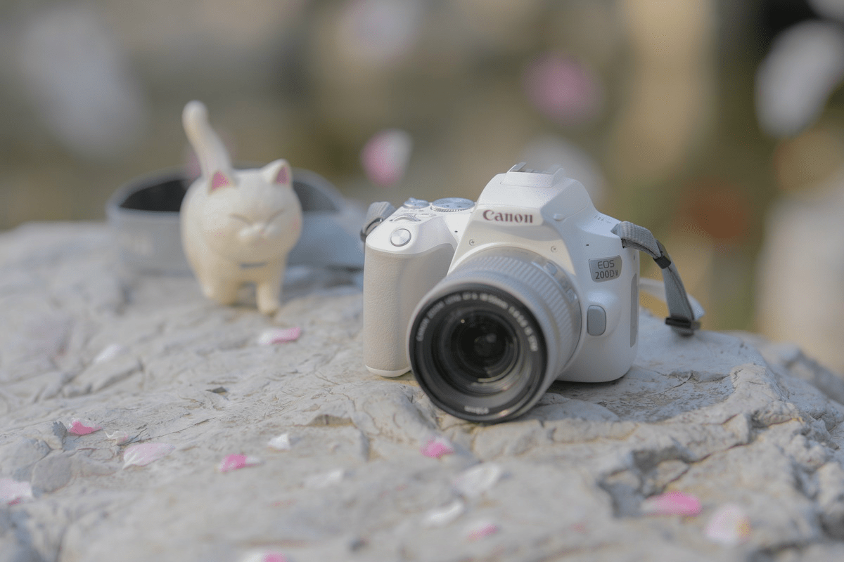巴掌大的单反相机佳能eos200 d2,拍出最美的自己_照片